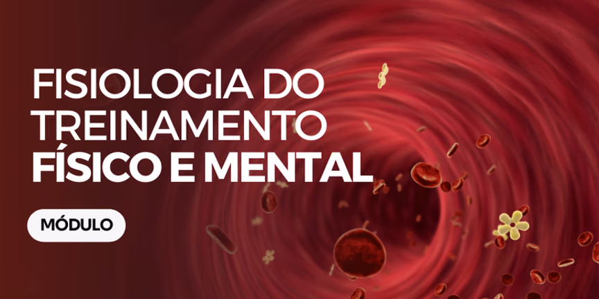 Módulo 03