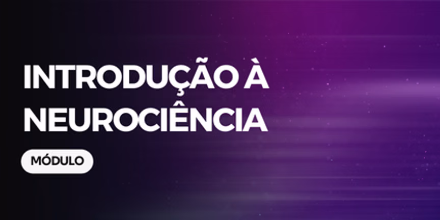 Módulo 06